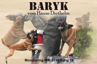 Baryk vom Hause Diethelm Baryk vom Hause Diethelm