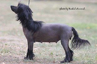 Elfgrace Venedika Kayra Elfgrace Venedika Kayra