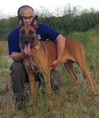 Ulbo pets Love Ulbo pets Love