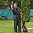Beschuyt steve