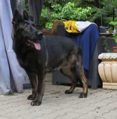 Trulla von Hildchensruh Trulla von Hildchensruh
