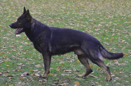 Hades vom Ruinenblick Hades vom Ruinenblick