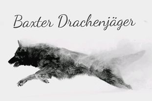 Baxter Drachenjäger Baxter Drachenjäger