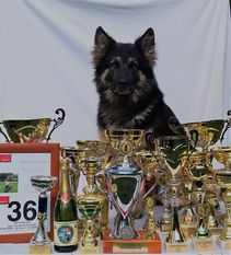 Ipon von der Winterschal Ipon von der Winterschal