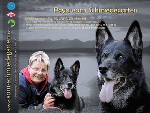 Paya vom Schmiedegarten Paya vom Schmiedegarten