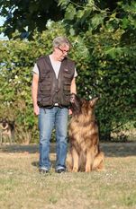 Dingo vom Holtkämper Hof Dingo vom Holtkämper Hof