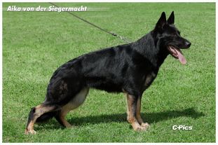 Aika von der Siegermacht Aika von der Siegermacht