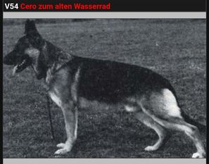 Cero zum alten Wasserrad Cero zum alten Wasserrad