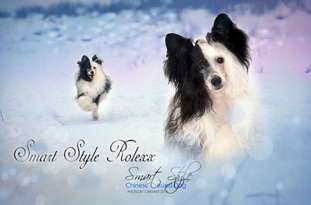 Smart Style Rolexx Smart Style Rolexx
