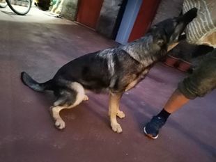 Ida von Sico Schwarz Haus Ida von Sico Schwarz Haus