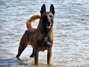 Keel Running Wild Keel Running Wild