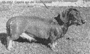 Capella von der Röderwiesen Capella von der Röderwiesen