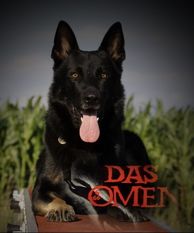 Omen vom Weinbergblick Omen vom Weinbergblick