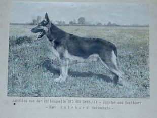Achilles von der Höllenquelle Achilles von der Höllenquelle