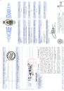 stamboom.pdf