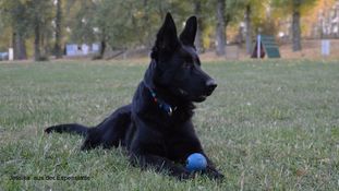 Jessika aus der Espenstätte Jessika aus der Espenstätte