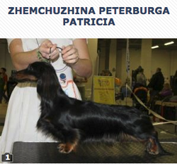 Zhemchuzhina Peterburga Patricia Zhemchuzhina Peterburga Patricia