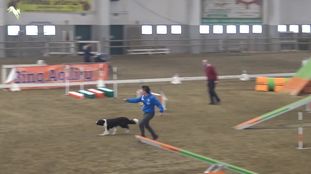 Diesel (Dandria) Diesel (Dandria)