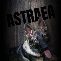 Astraea z Pracovni Bohemia Astraea z Pracovni Bohemia