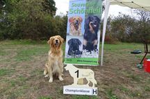 01.09.2019 Landessiegerausstellung Rhaden: v1, CAC, Landessiegerin NRW