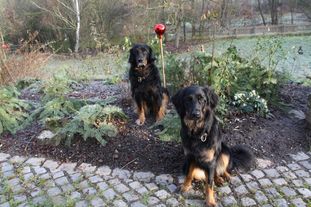 Nele vom Schondratal Nele vom Schondratal