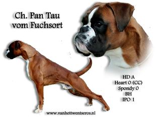 Pan-Tau vom Fuchsort Pan-Tau vom Fuchsort