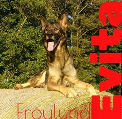 Froulund Evita Froulund Evita