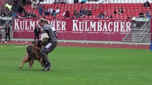 Team Bulle Hof Zamp Team Bulle Hof Zamp