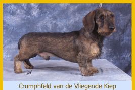Crumphfeld van de Vliegende Kiep Crumphfeld van de Vliegende Kiep
