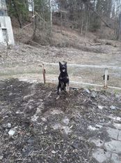 Gaba spod Lazov Gaba spod Lazov