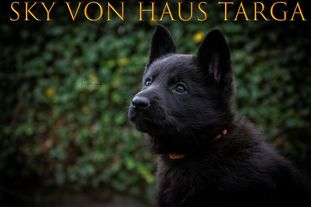 Sky von Haus Targa Sky von Haus Targa