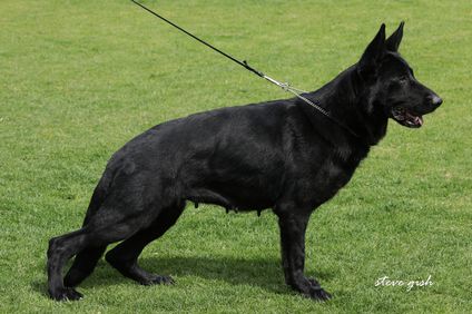 Jean von der Weidacher Höhe Jean von der Weidacher Höhe