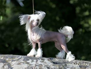 Fiabella's The World Is Mine Fiabella's The World Is Mine