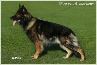 Xilver vom Grenzgänger Xilver vom Grenzgänger