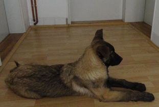 Uran Cro Dogsstan Uran Cro Dogsstan