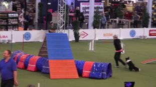 Can Kit vom Vluyner Land Can Kit vom Vluyner Land