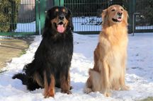 31.01.2021 Deckakt mit Bele vom Seevedeich