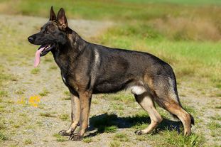 Kody von der Schillerstraße Kody von der Schillerstraße