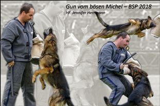 Gun vom bösen Michel Gun vom bösen Michel
