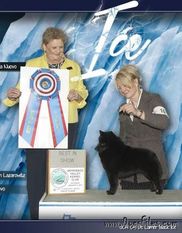 De Lamer Black Ice De Lamer Black Ice