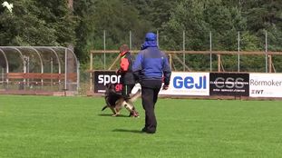 Skogsstugan Hoppa Skogsstugan Hoppa