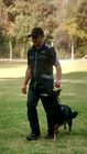 Alex Ceballos Somoza