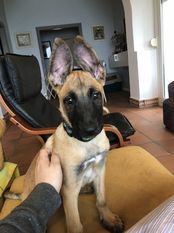 Cloud 9 Blue iz Gratsiano Cloud 9 Blue iz Gratsiano