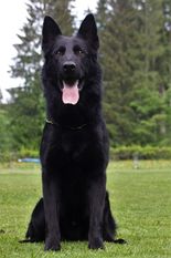 Conan von der Lobdeburg Conan von der Lobdeburg