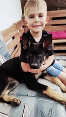 Grace vom Wolfssprung Grace vom Wolfssprung