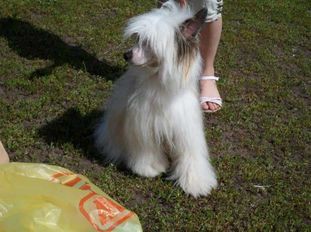Tilda Iz Collection Of Russia Tilda Iz Collection Of Russia