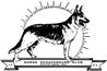 Norsk Schaferhund Klub (N.Sch.K.)