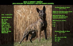 Bico z Kimovy smečky Bico z Kimovy smečky