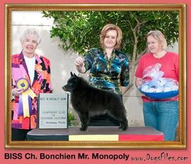 Bonchien Mr Monopoly Bonchien Mr Monopoly