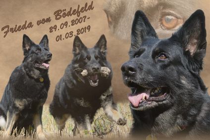 Frieda von Bödefeld Frieda von Bödefeld